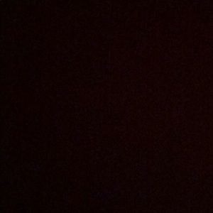 Meet your Posher, Evelyn